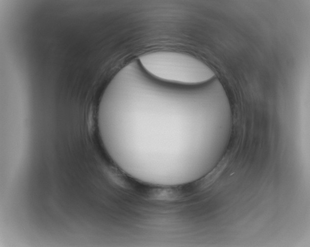 X0000112950074200908241035