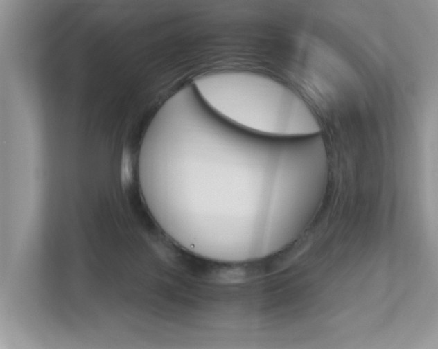 X0000112950075200908241035