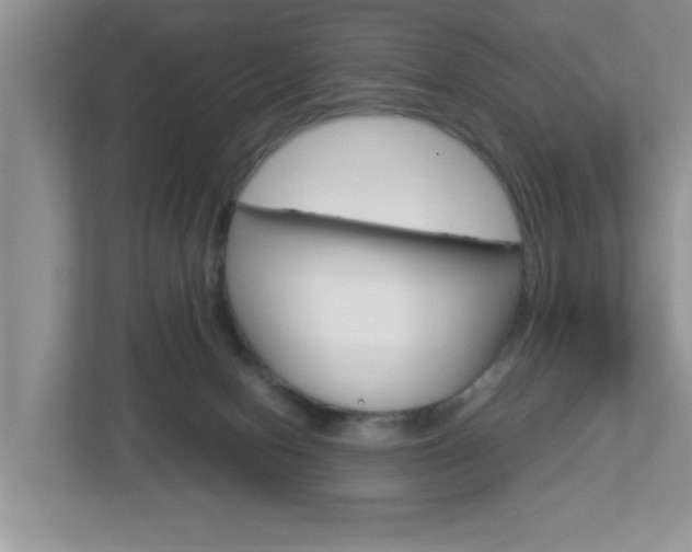 X0000112950078200908241035