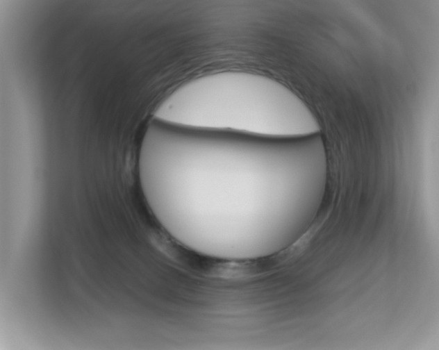 X0000112950082200908241035