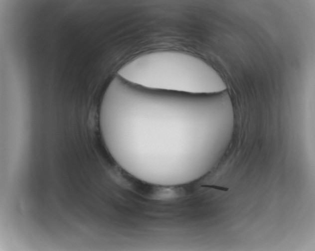 X0000112950083200908241035