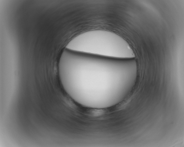 X0000112950085200908241035