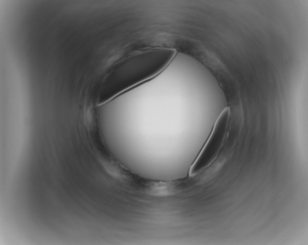 X0000112950088200908241036