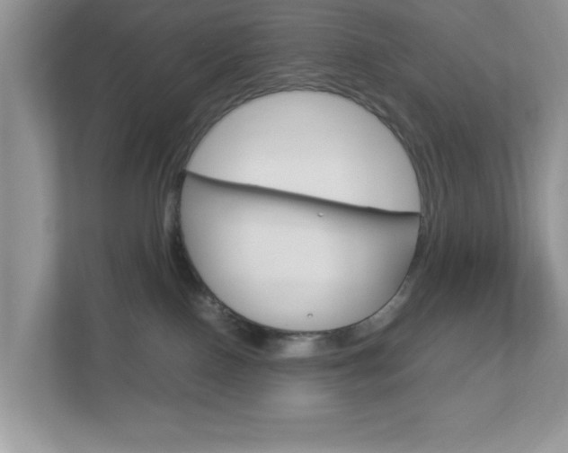 X0000112950090200908241036