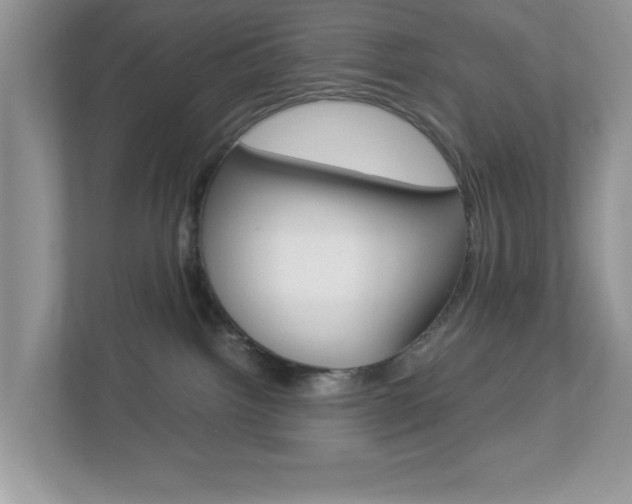 X0000112950092200908241036