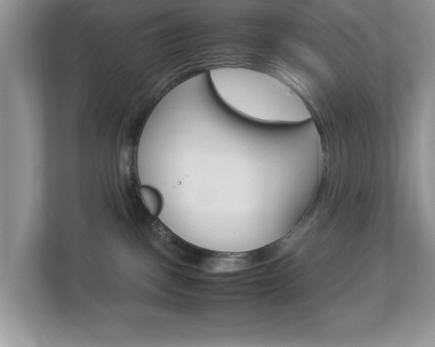 X0000112950093200908241036