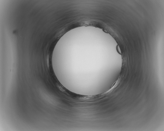 X0000112950094200908241036
