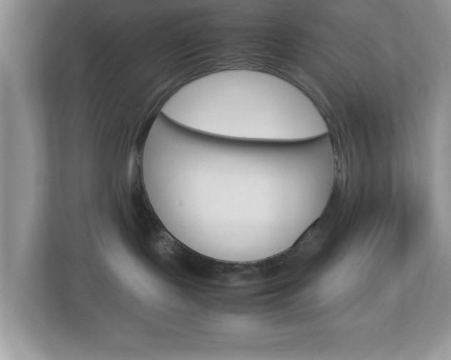 X0000112950095200908241036