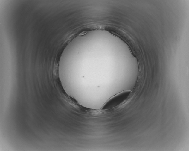 X0000112950096200908241036