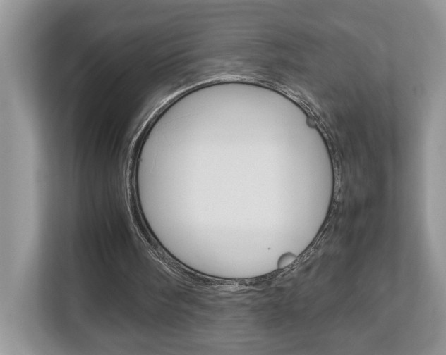 X0000112950098200908241035