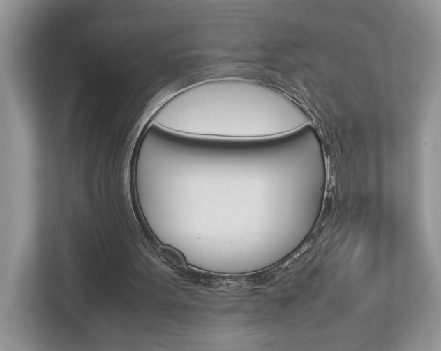 X0000112950099200908241035