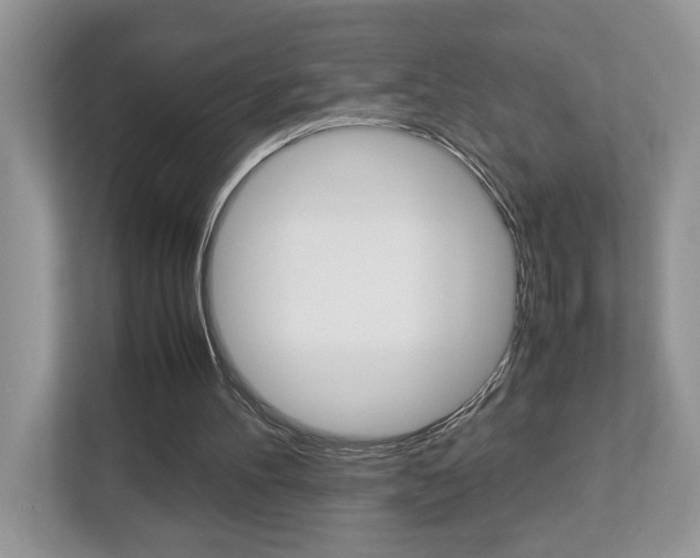 X0000112950100200908241035