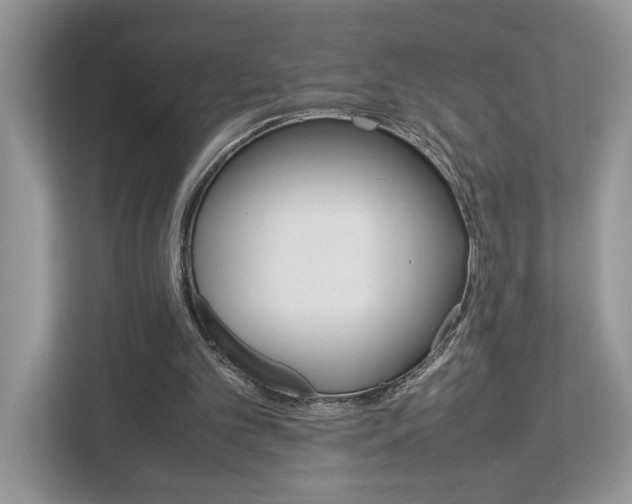 X0000112950101200908241035