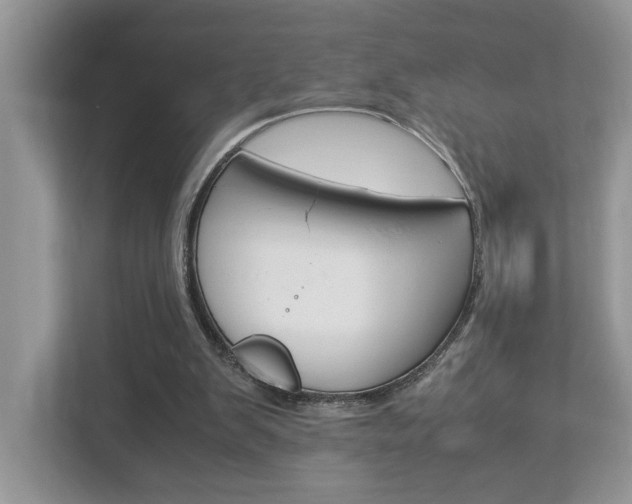 X0000112950103200908241035