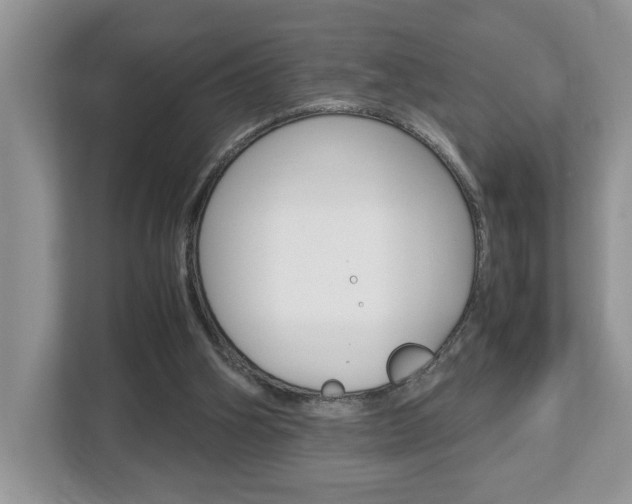X0000112950106200908241035