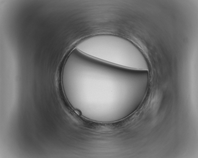 X0000112950107200908241035