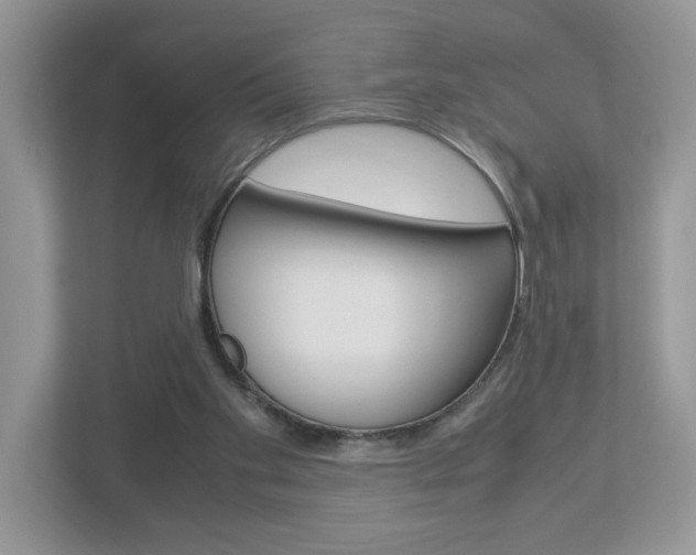 X0000112950109200908241035