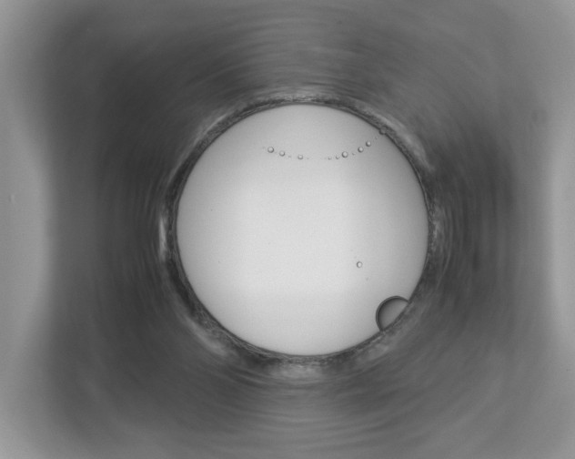 X0000112950110200908241035