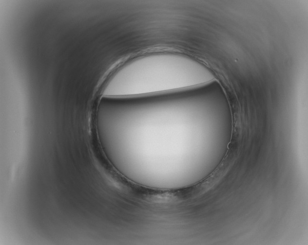 X0000112950112200908241035