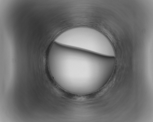 X0000112950113200908241035