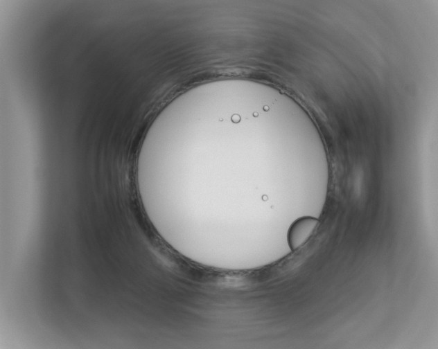 X0000112950114200908241035