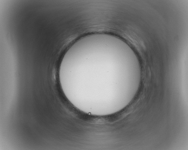 X0000112950115200908241035