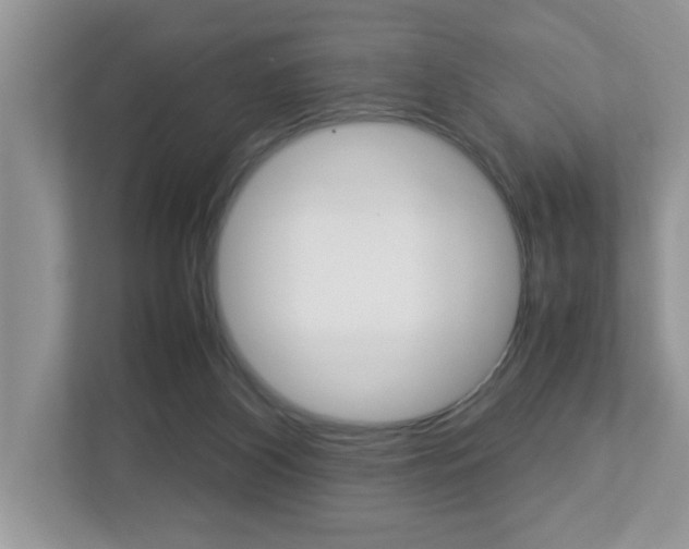 X0000112950116200908241035