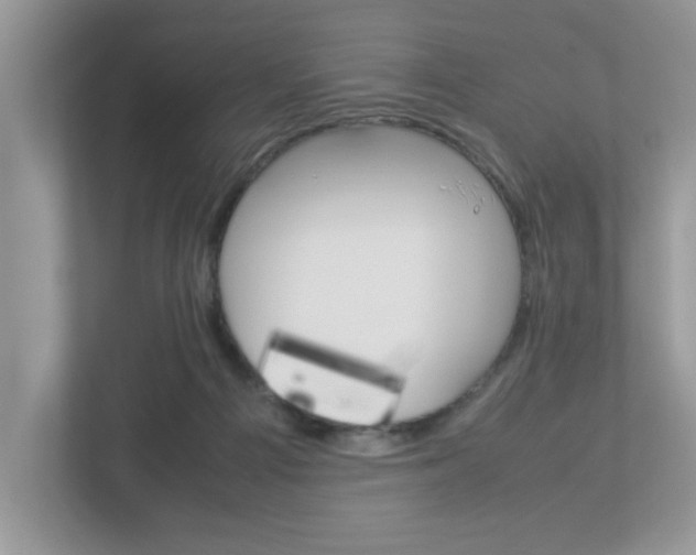 X0000112950121200908241035