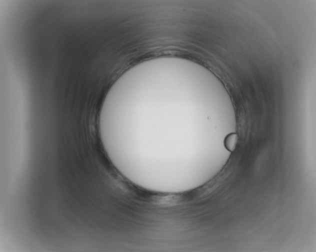 X0000112950122200908241035