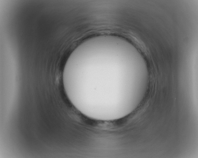 X0000112950125200908241035