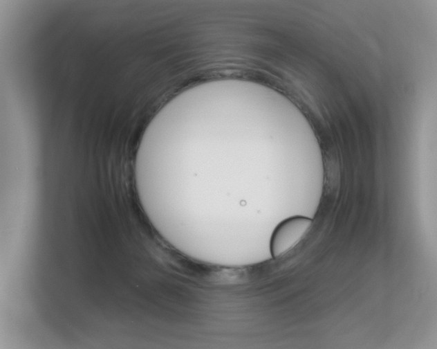 X0000112950126200908241035