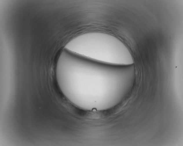 X0000112950127200908241035