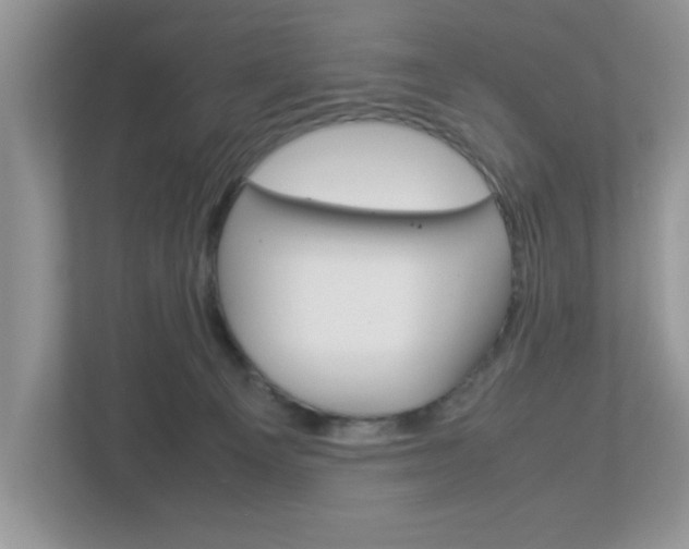 X0000112950129200908241035