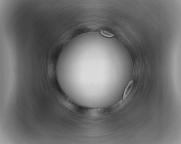X0000112950136200908241035