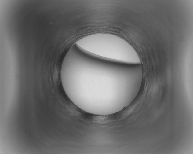X0000112950139200908241034