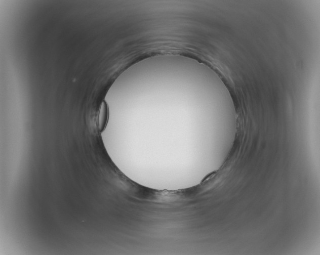 X0000112950141200908241034