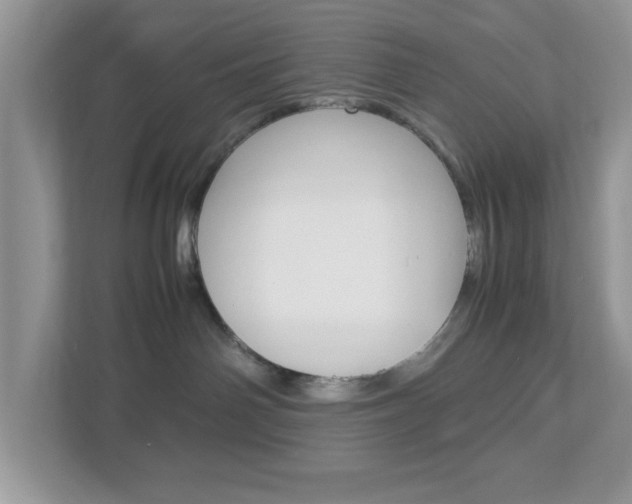 X0000112950142200908241034