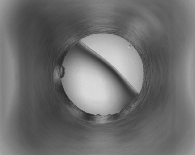 X0000112950143200908241034
