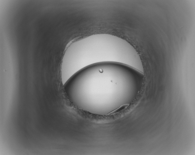 X0000112950144200908241034