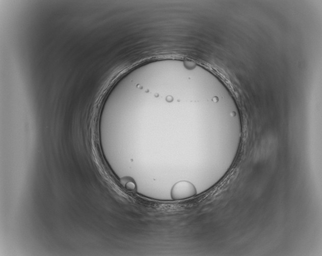 X0000112950145200908241034