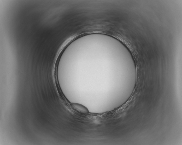 X0000112950147200908241034