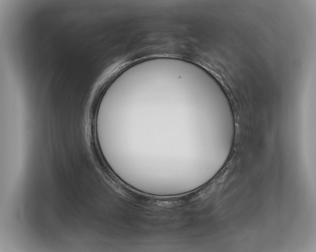 X0000112950149200908241034