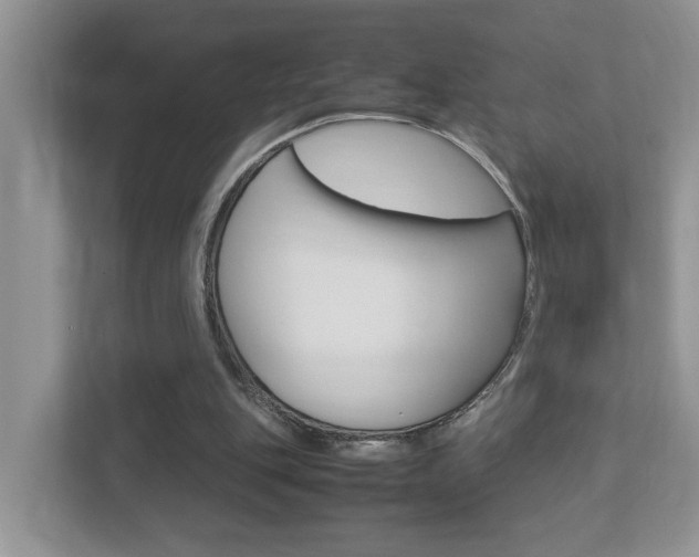 X0000112950151200908241034