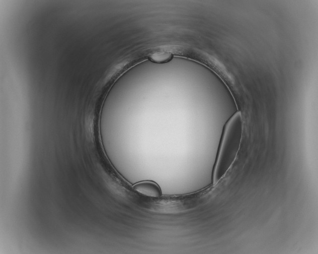 X0000112950154200908241034