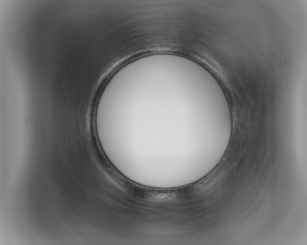 X0000112950155200908241034