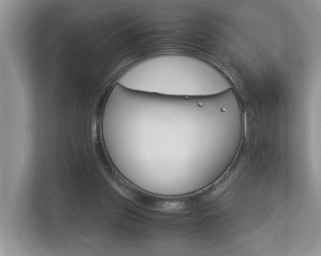 X0000112950157200908241034