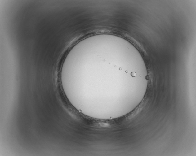 X0000112950159200908241034