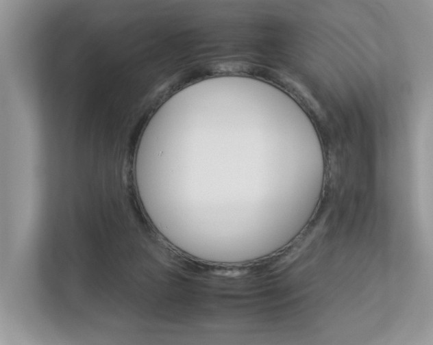 X0000112950161200908241034