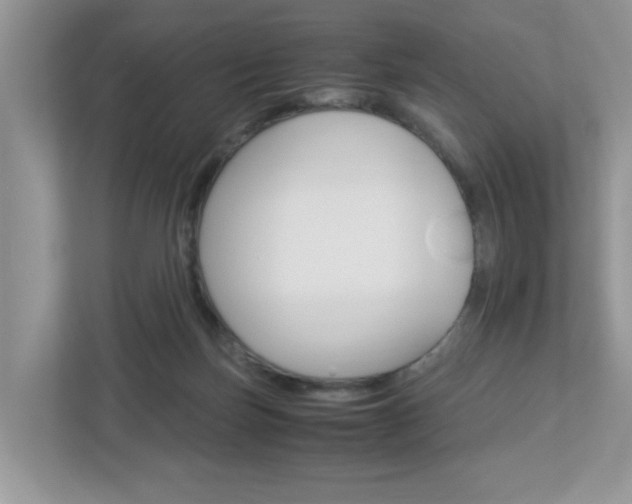 X0000112950171200908241034