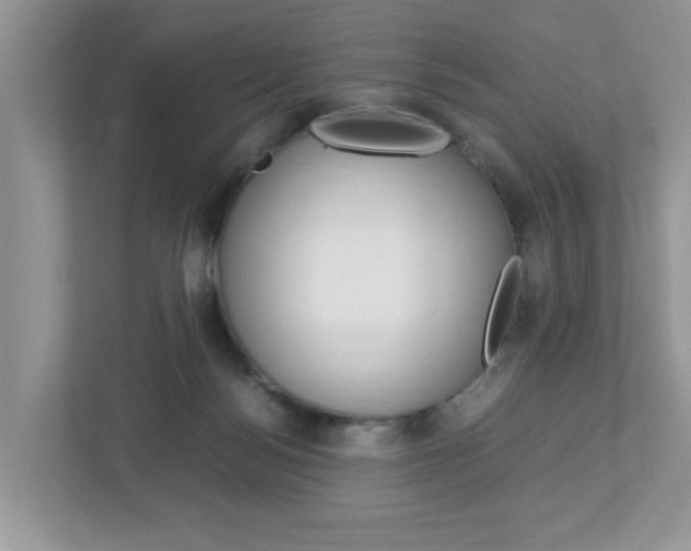 X0000112950172200908241034